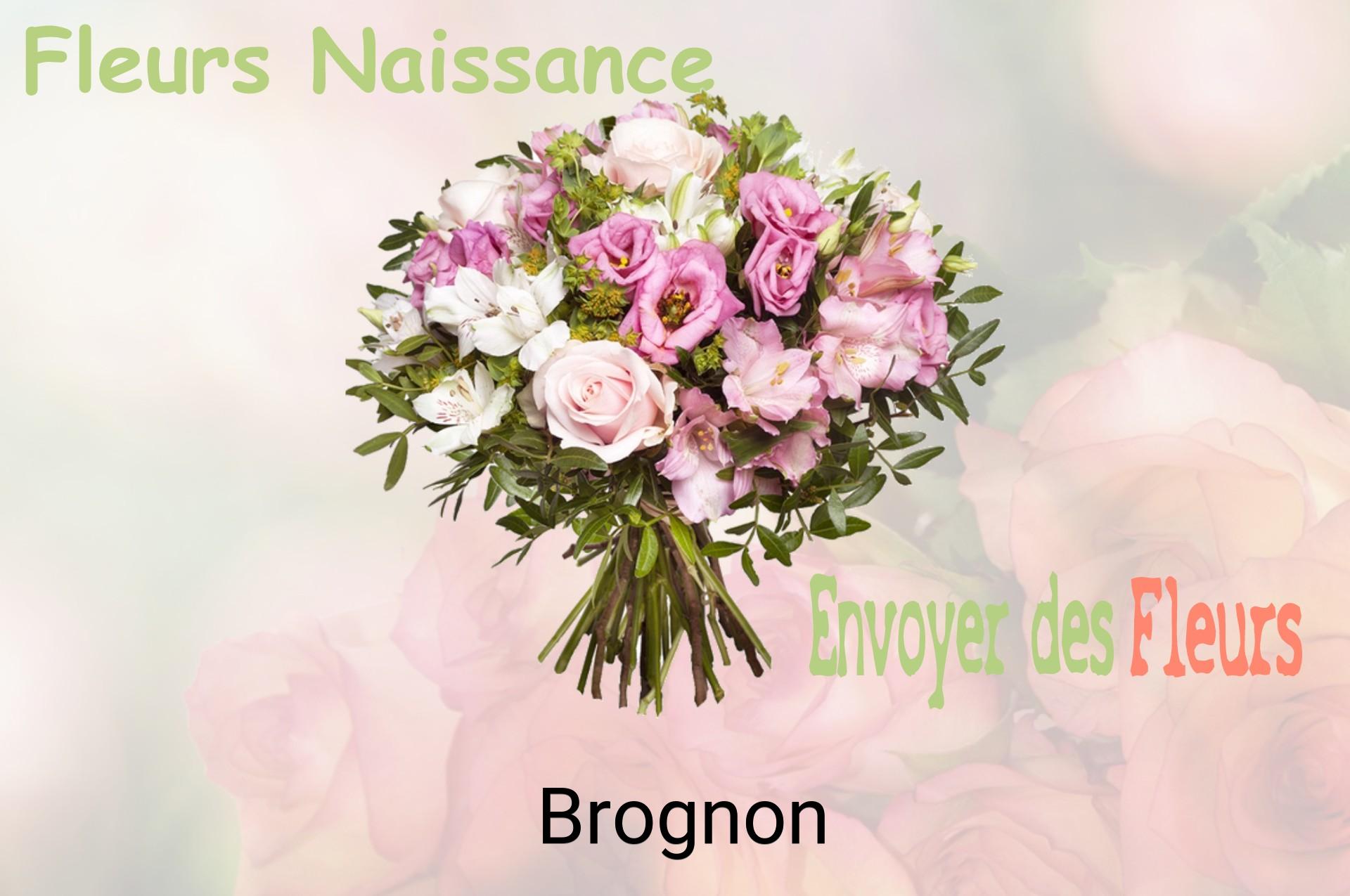 Bouquet de fleurs de naissance livré à Brognon